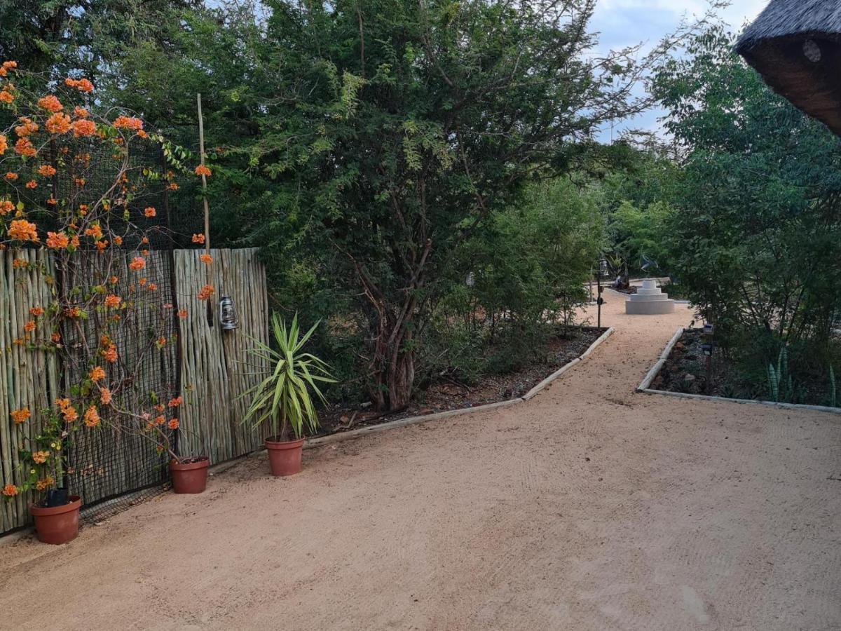 The Dreamcatcher * Hoedspruit